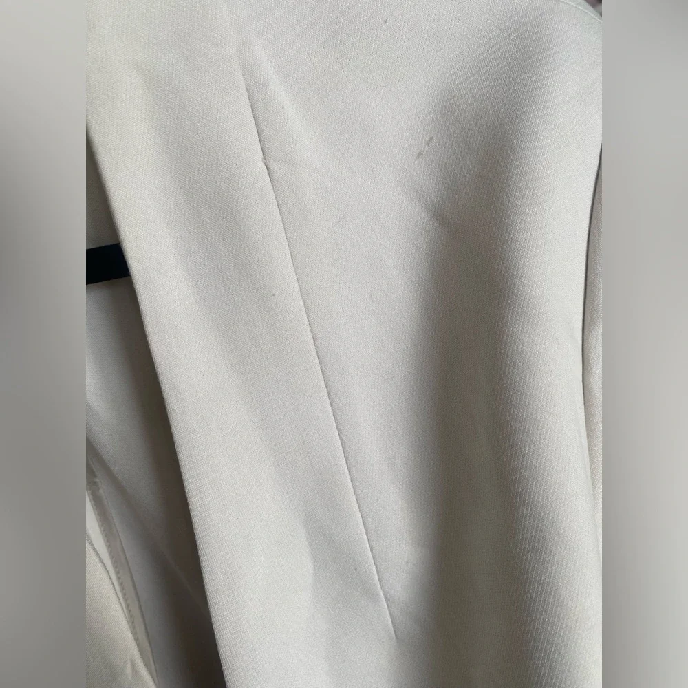 Aritzia Babaton New Power Blazer in Matte Pearl - Picture 6 of 11